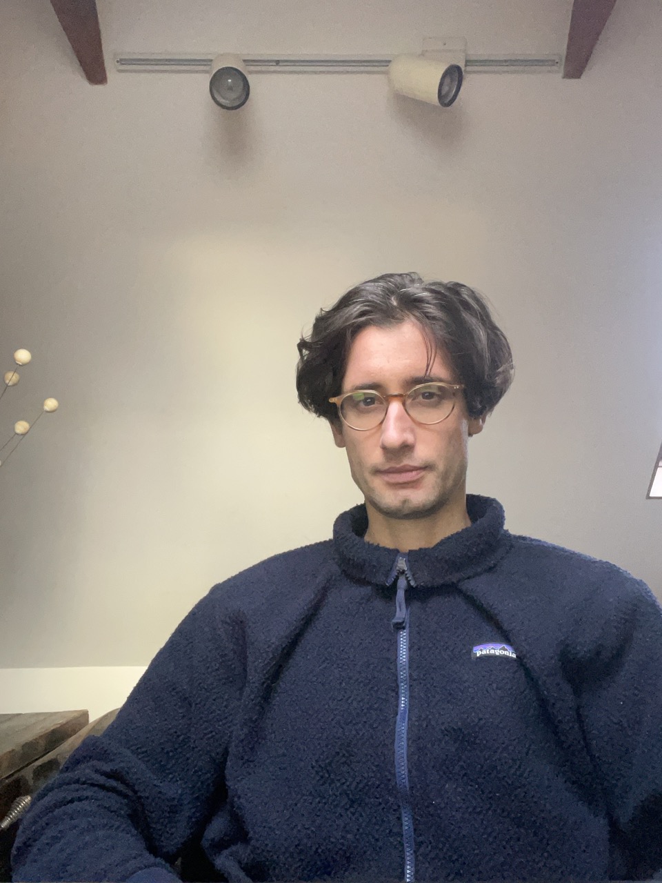 Portrait of Alessandro Carli